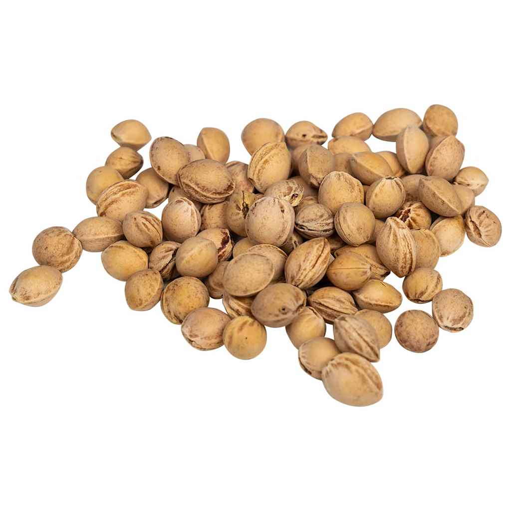 vidaXL Cherry Stones for Heat Cushion 25 kg 5
