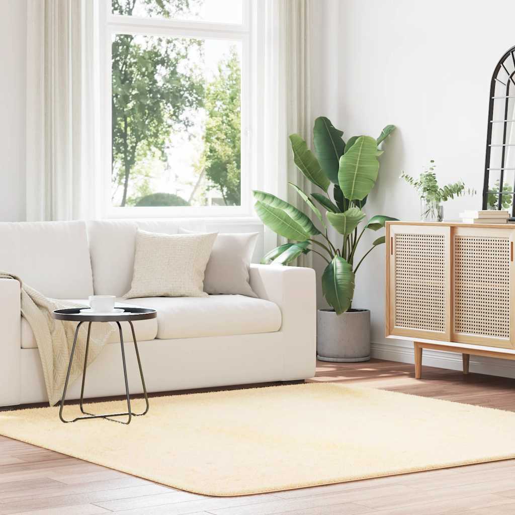 vidaXL Shaggy Rug High Pile NAVARRA Cream 200x200 cm Polyester 1