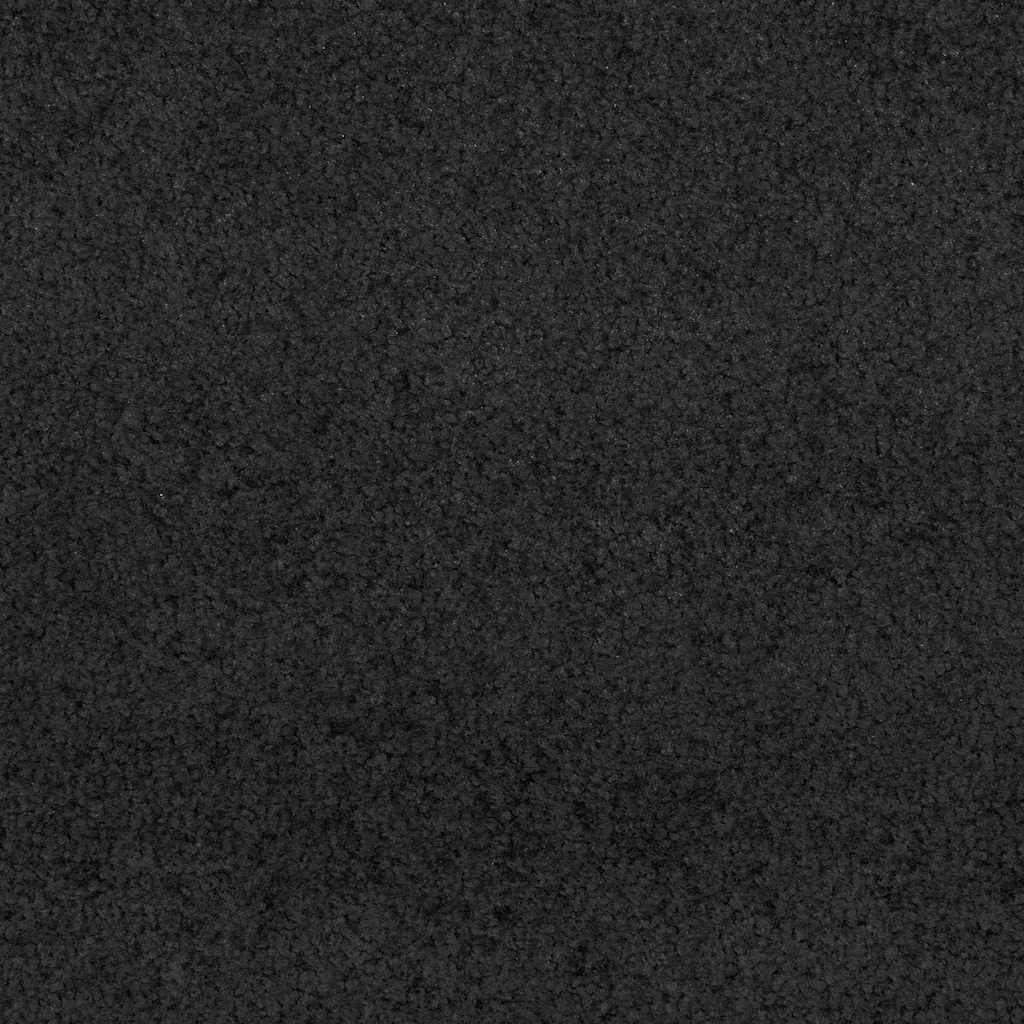 vidaXL Doormat Black 90 x 150 cm 100% Polyamide 6
