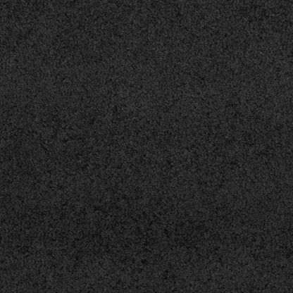 vidaXL Doormat Black 90 x 150 cm 100% Polyamide 6
