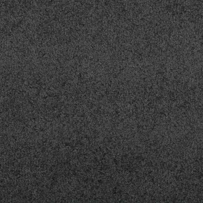 vidaXL Doormat Anthracite and Black 90 x 150 cm 100% Polyamide 6