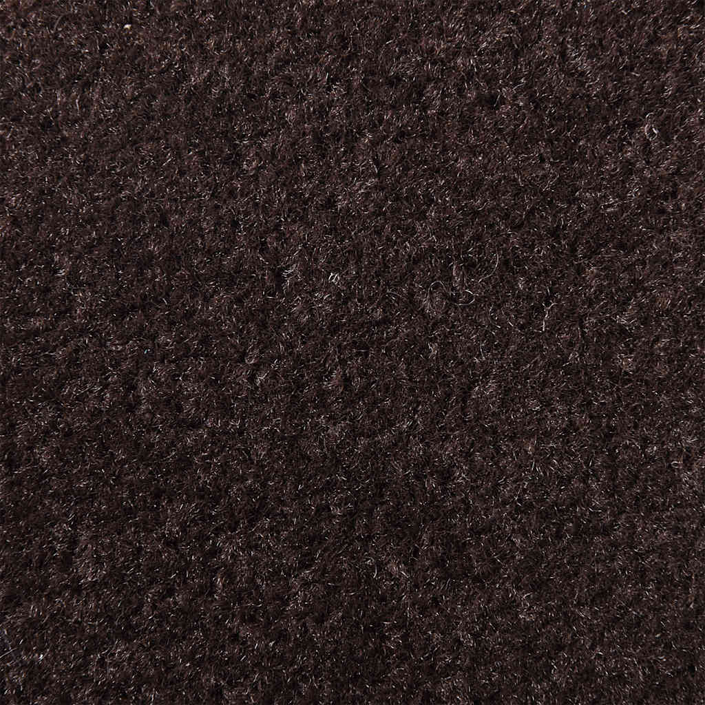 vidaXL Doormat Brown 115x200 cm 6