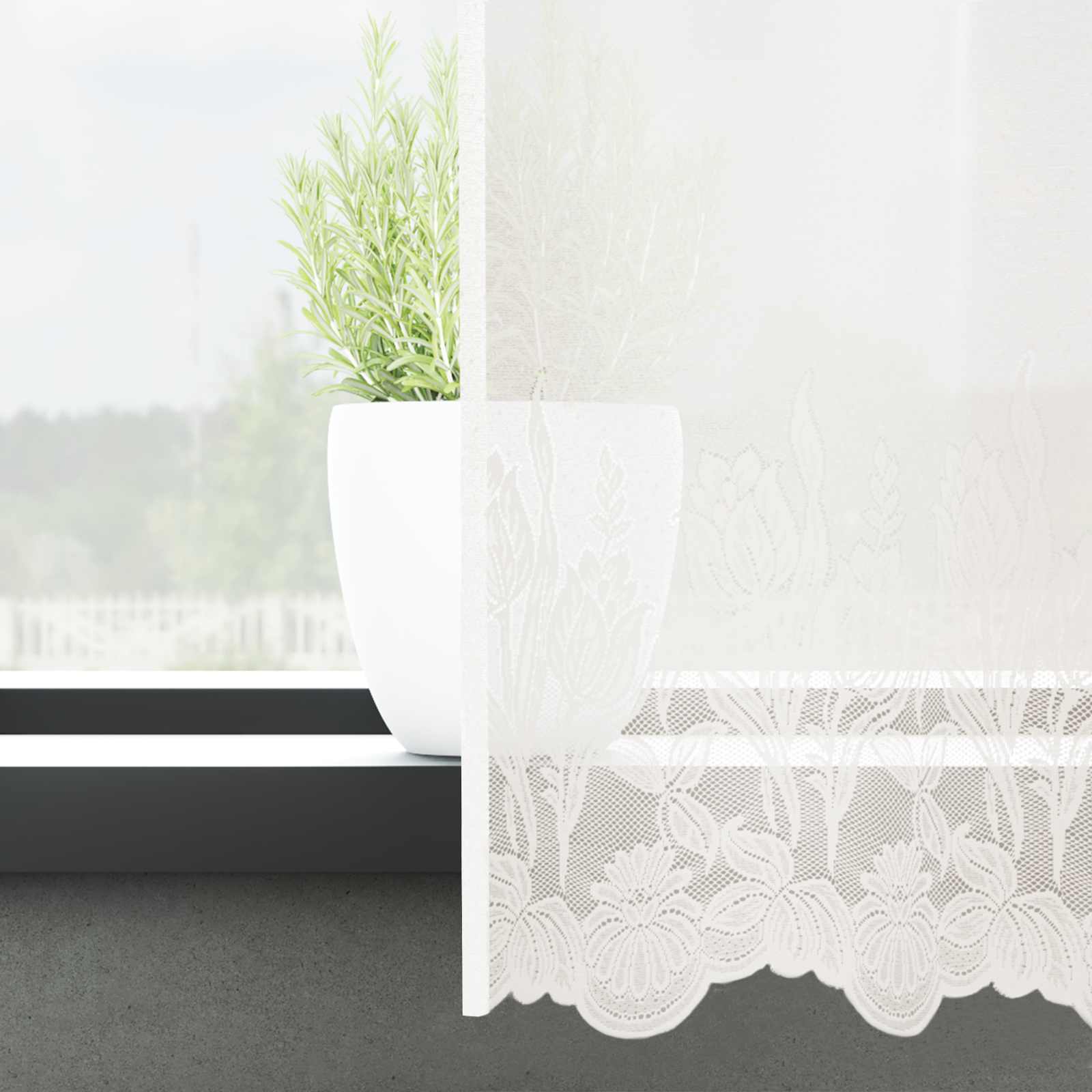 vidaXL Lace Curtain White 1200 x 300 cm Polyester 3