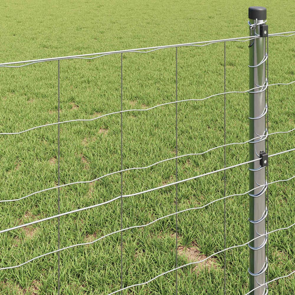 Euro Fence 1 x 10 m PVC-coated iron Galvanised Steel mesh Size 100 x 100 mm 1.6 m