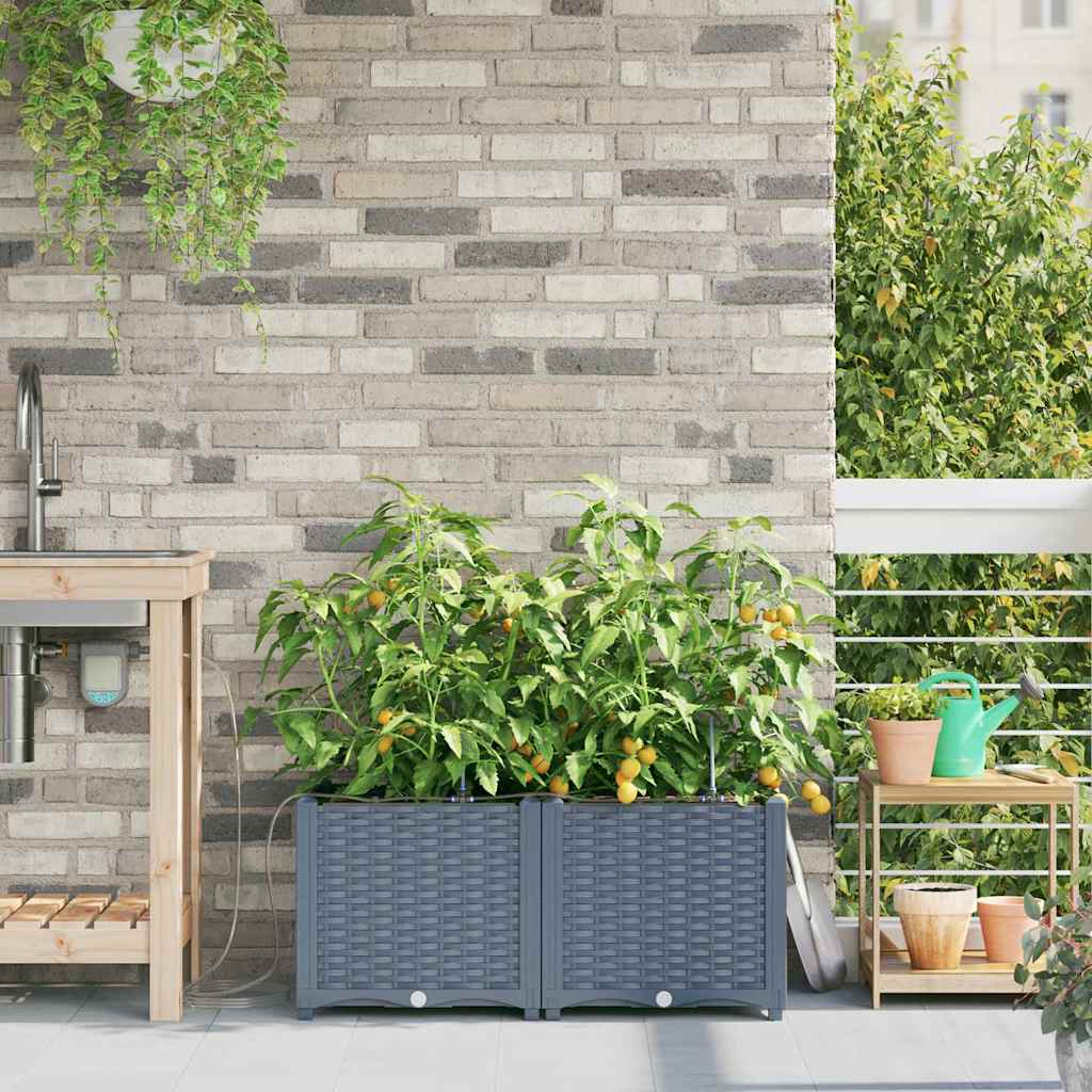 vidaXL Garden Planter 2 pcs LiGht Grey 80 x 40 x 37.5 cm PP 1