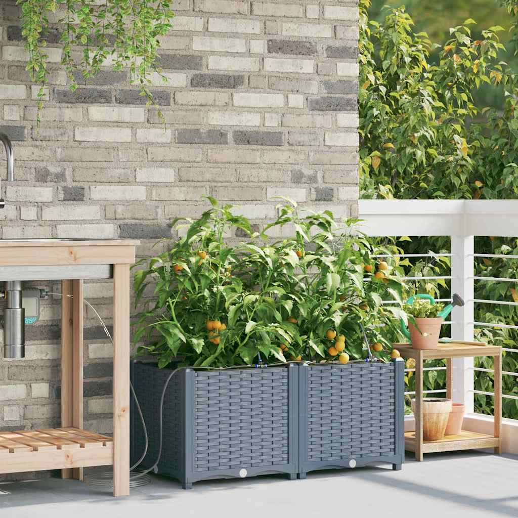 vidaXL Garden Planter 2 pcs LiGht Grey 80 x 40 x 37.5 cm PP 3
