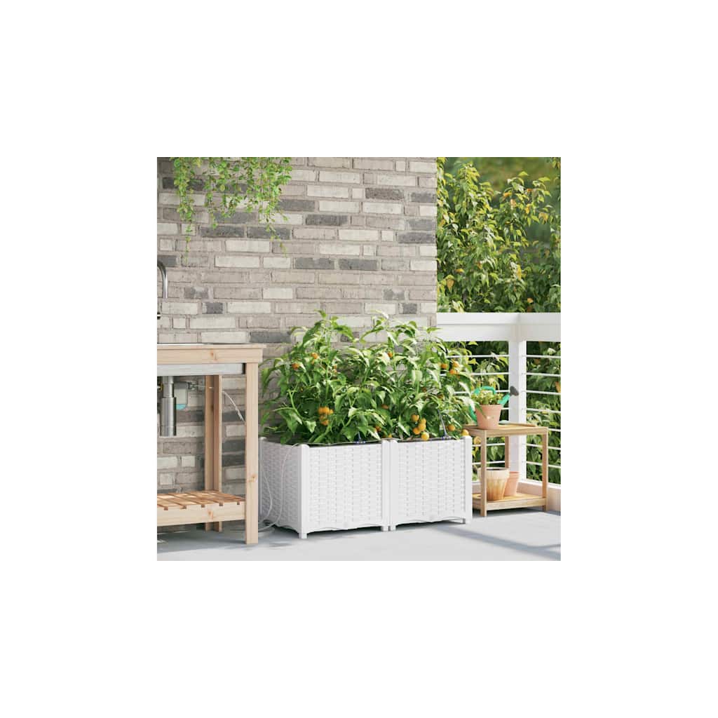 vidaXL Garden Planter 2 pcs White 80 x 40 x 37.5 cm PP 3