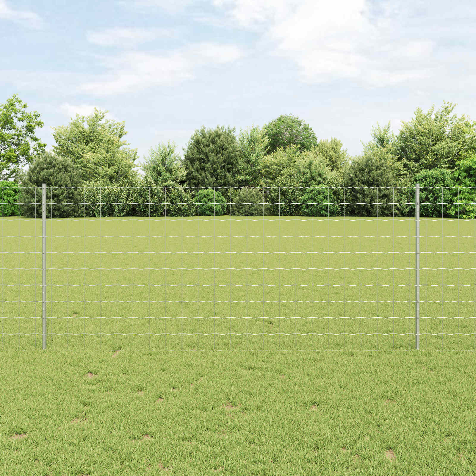 vidaXL Euro Fence with Post 10 x 1 m Galvanised Steel Silver Mesh 1