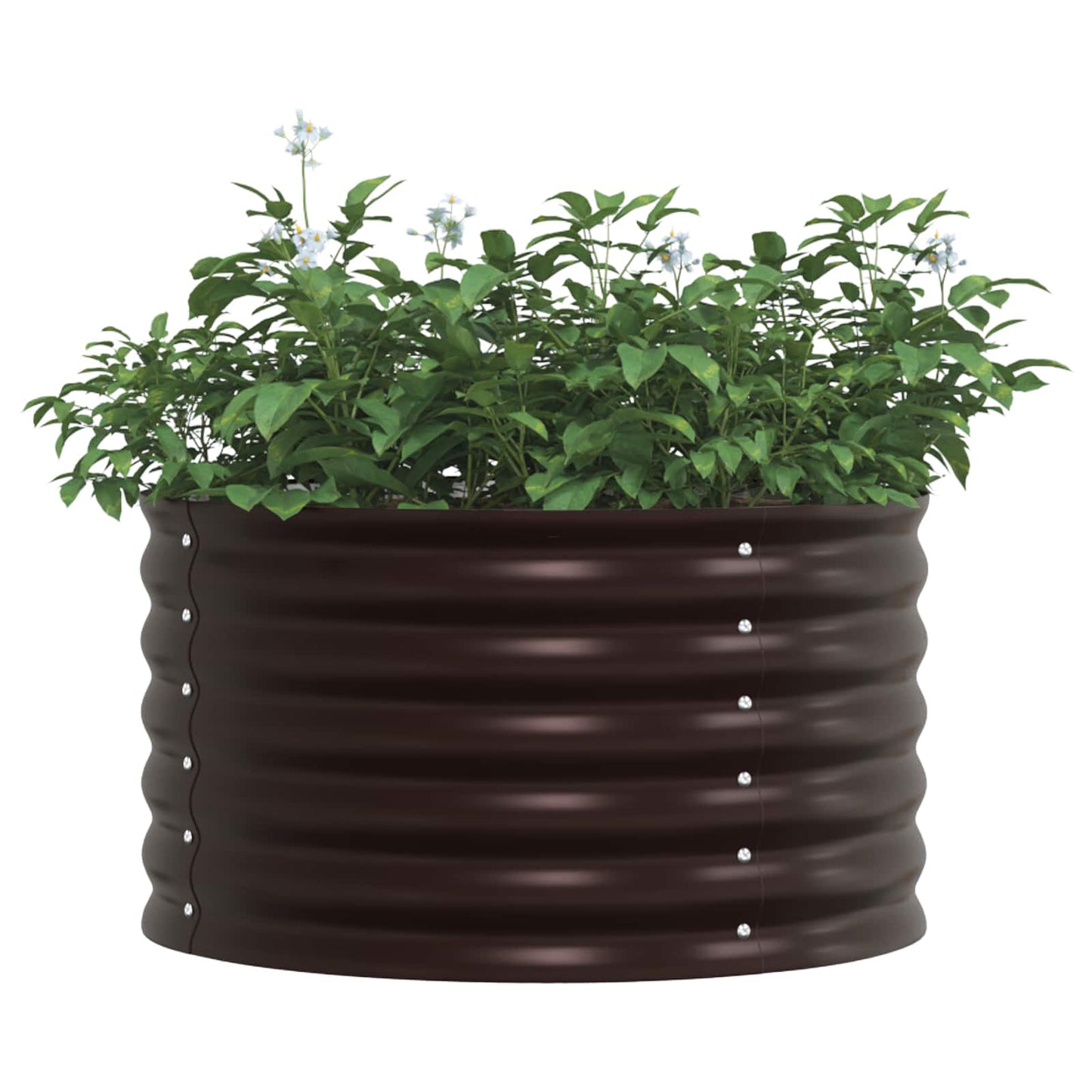 vidaXL Raised Bed Brown 80 x 80 x 44 cm Steel 2