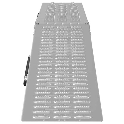vidaXL Foldable Ramp 200kg per ramp Silver 200 kg per ramp 4
