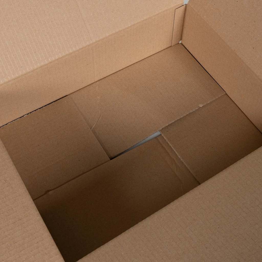 vidaXL Folding Box 50 pcs Natural 40 x 30 x 10 cm Cardboard 4