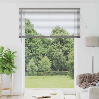 vidaXL Venetian Blinds Silver 220 x 160 cm Aluminium 1