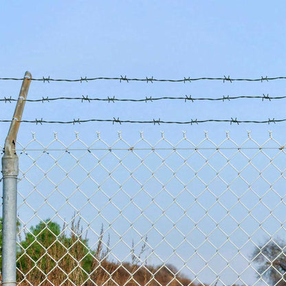 vidaXL Barbed Wire Green 100 m PVC-coated Steel 1