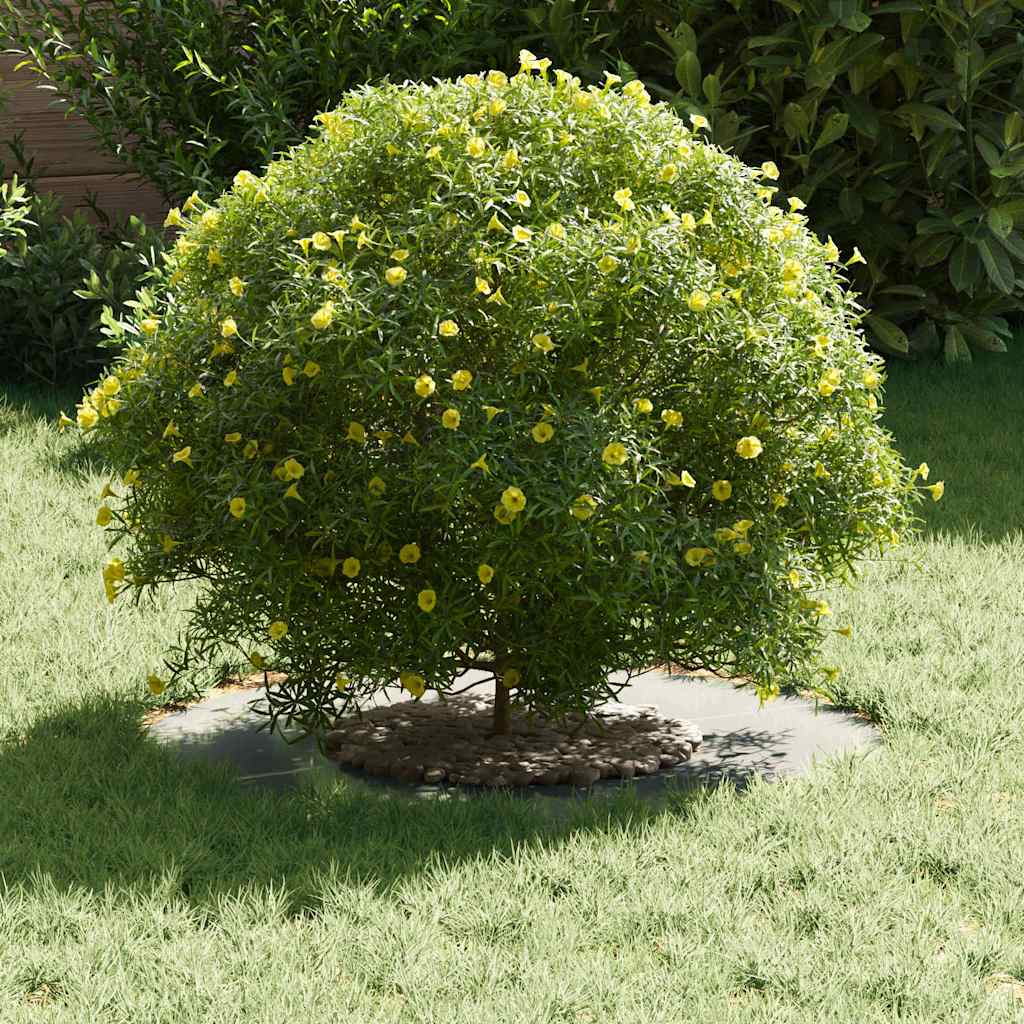 Suitable for Flat Tree