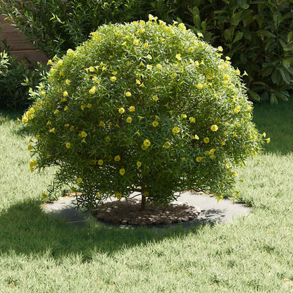 Suitable for Flat Tree