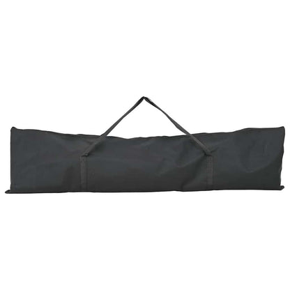 vidaXL Baseball Practice Net Black 250 x 106 x 209 cm Polyester 5