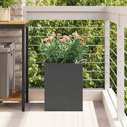 Garden Planter Black Cold-rolled Steel