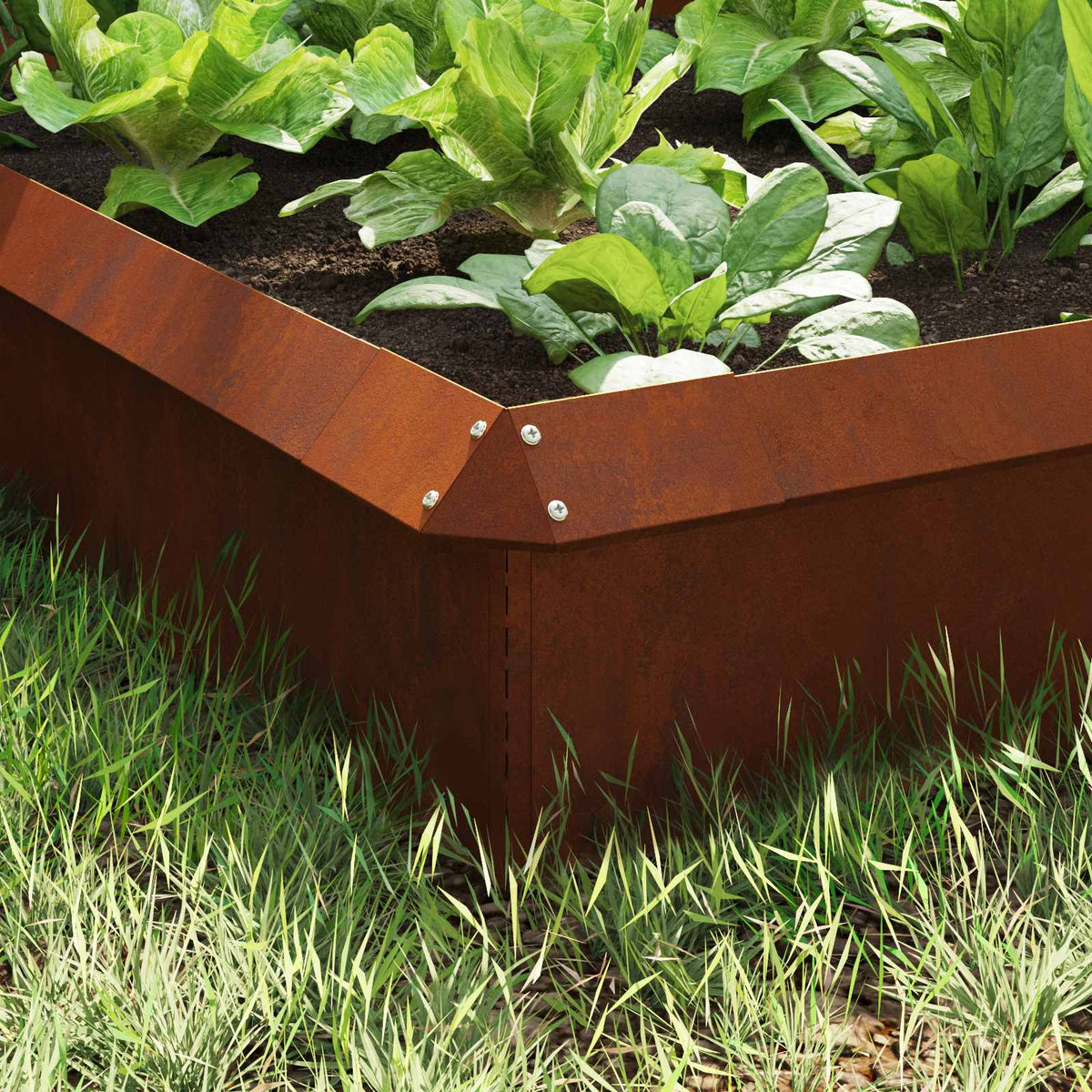 Snail Fences 100 x 3.5 x 25 cm Silver Weathering steel 8