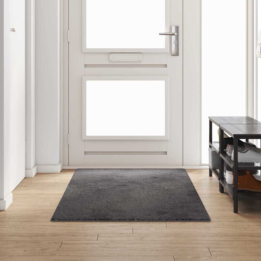vidaXL Carpet Runner Grey 100 x 250 cm 100% Polypropylene Tuft 1