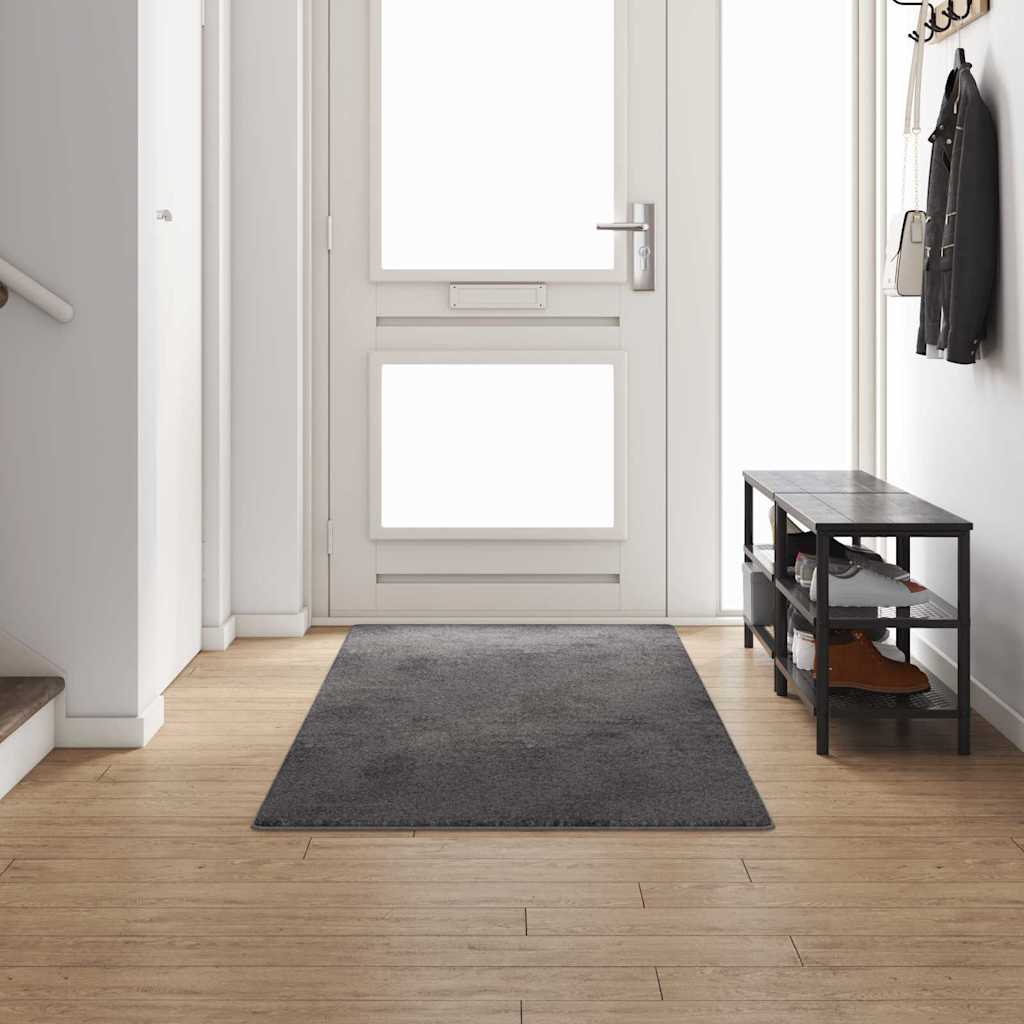 vidaXL Carpet Runner Grey 100 x 300 cm 100% Polypropylene Tuft 1