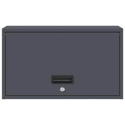 vidaXL Wall Cabinet for Garage with Gas-lift Door Anthracite 6