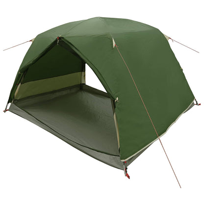 vidaXL Backpacking Tent 2-Person Green 185T Polyester with PU Coating 2