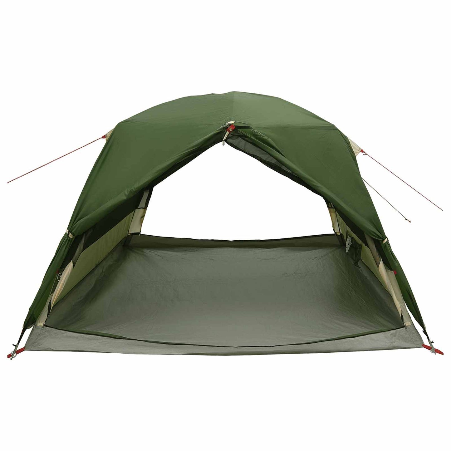 vidaXL Backpacking Tent 2-Person Green 185T Polyester with PU Coating 5