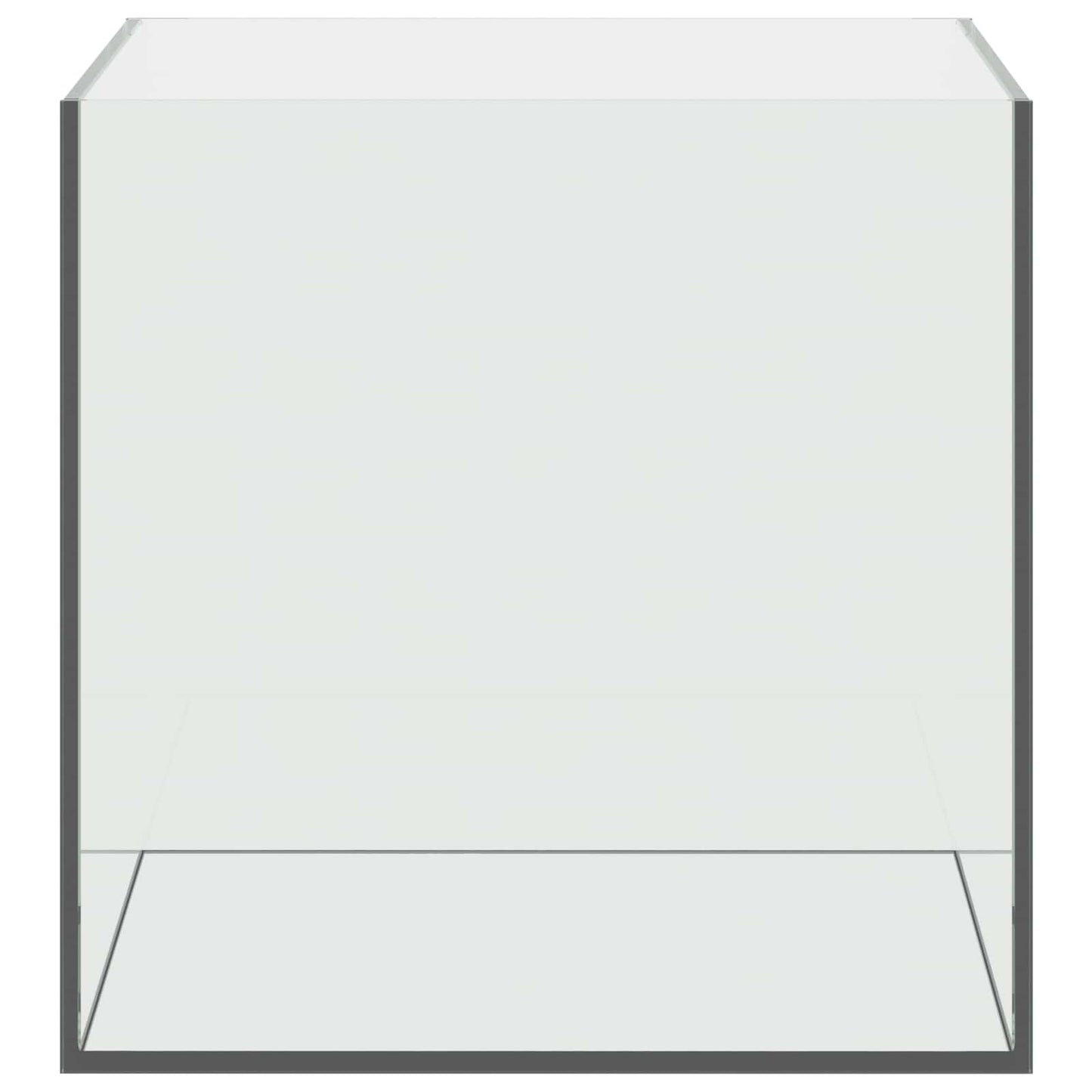 vidaXL Aquarium with Storage Transparent 30 x 30 x 30 cm Glass 5