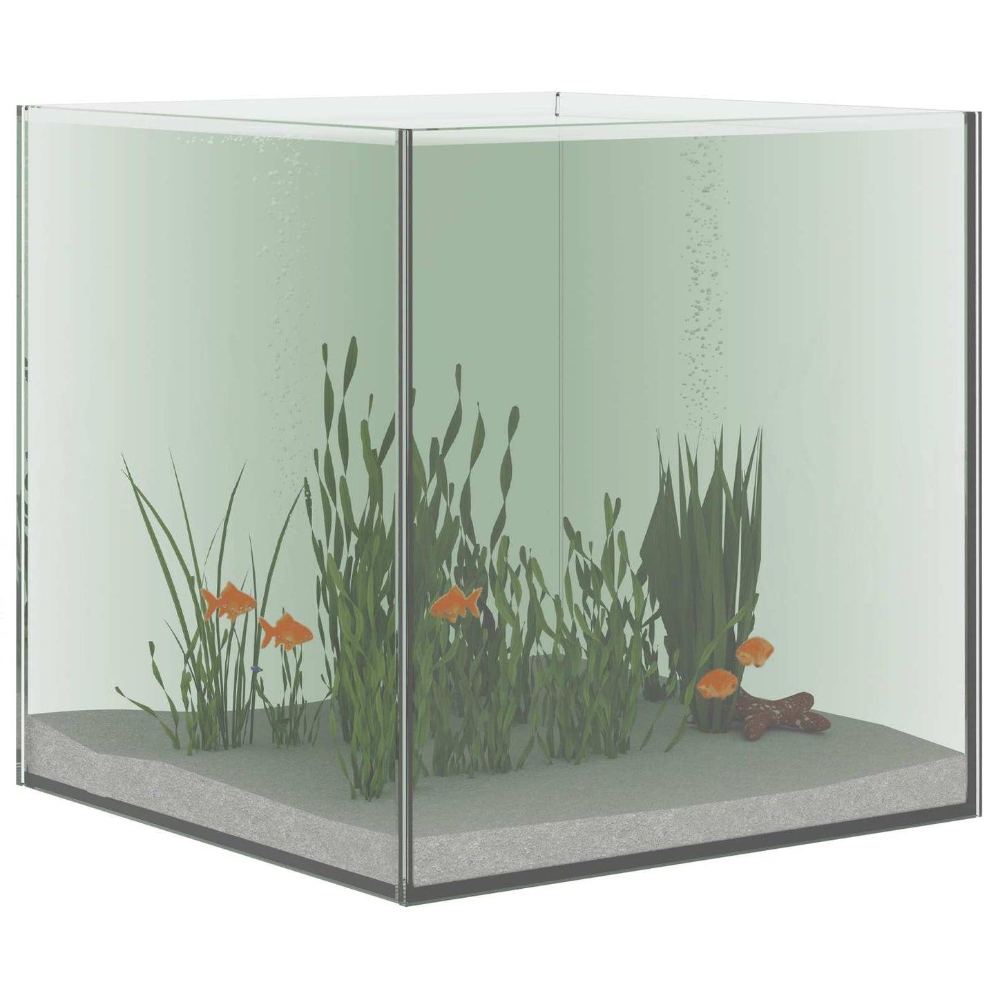 vidaXL Aquarium with Storage Transparent 30 x 30 x 30 cm Glass 3