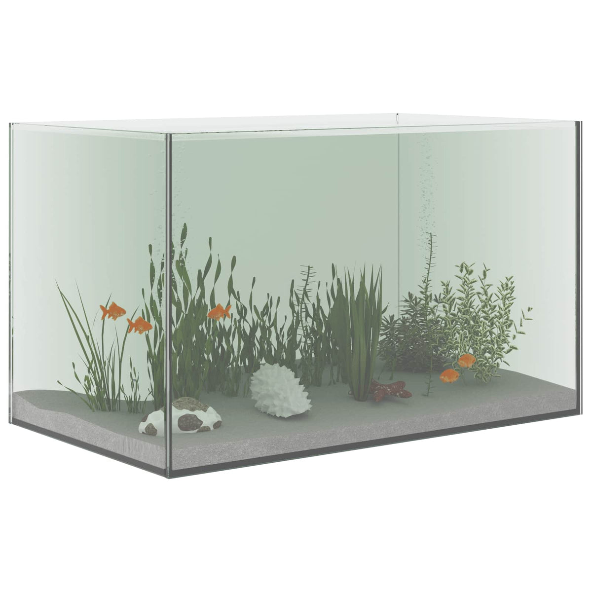 Aquarium with Storage Transparent Glass 50 cm 30 cm 30 cm