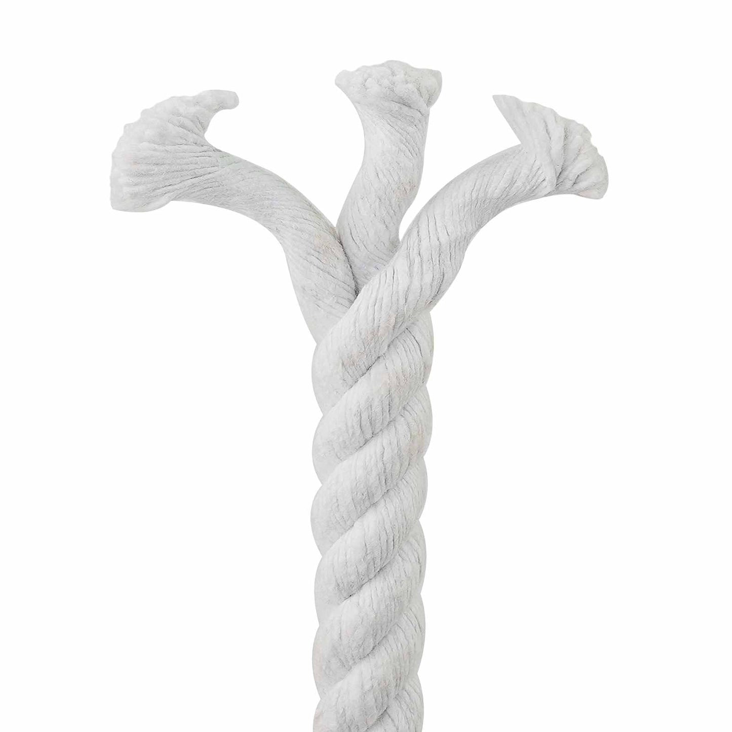 vidaXL Cotton Rope 16 mm 50 m White 100% Cotton 5