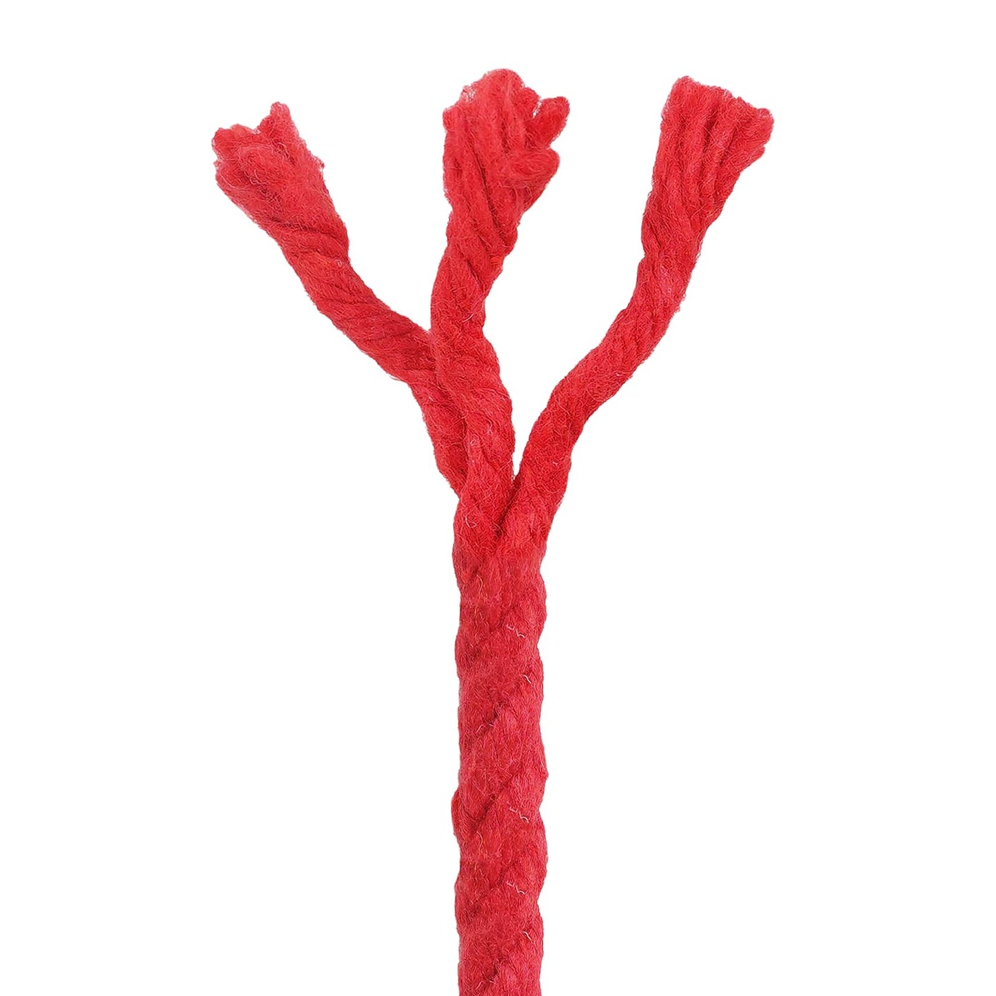 vidaXL Cotton Rope 6 mm 250 m Red 100% Cotton 5