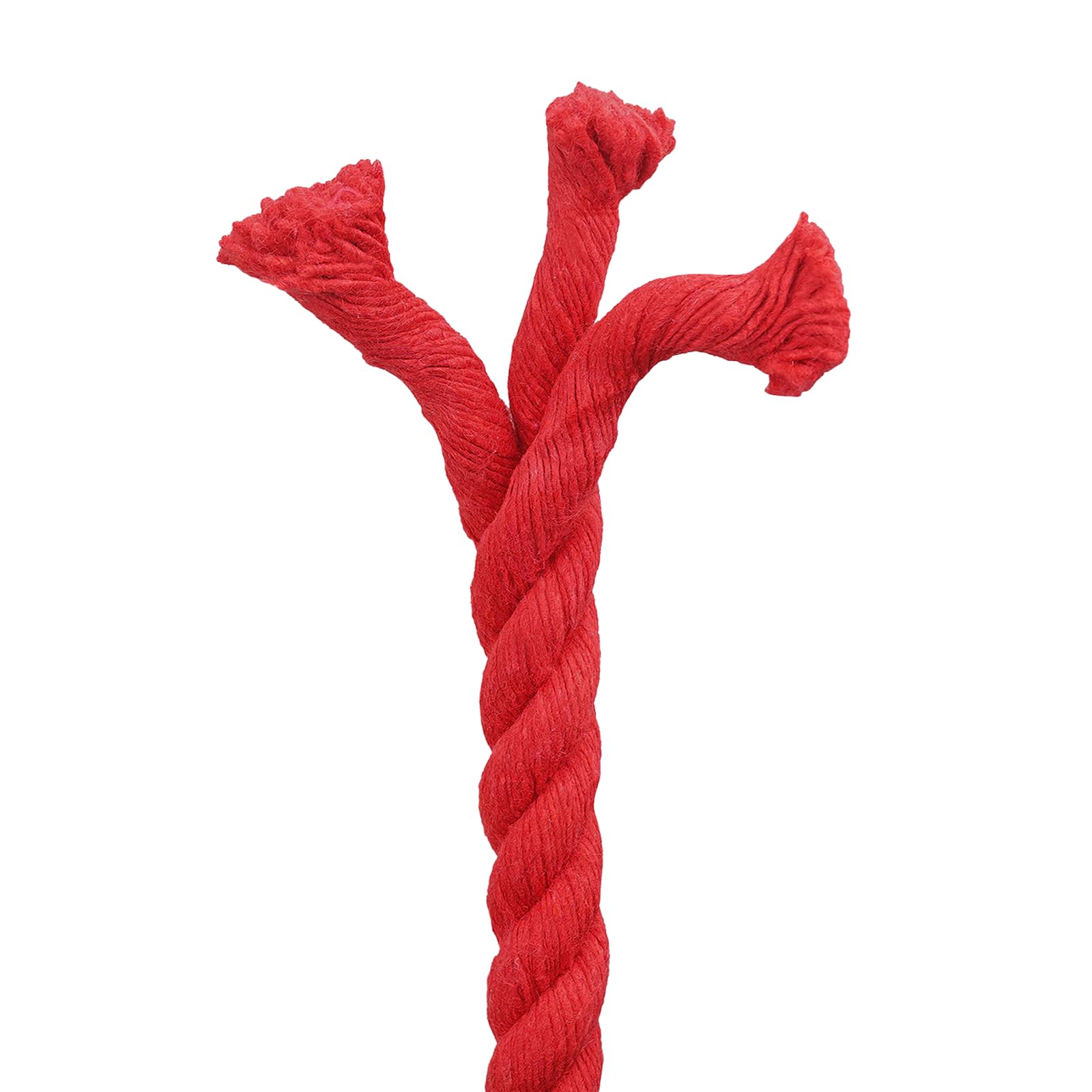 vidaXL Cotton Rope 16 mm 50 m Red 100% Cotton 5