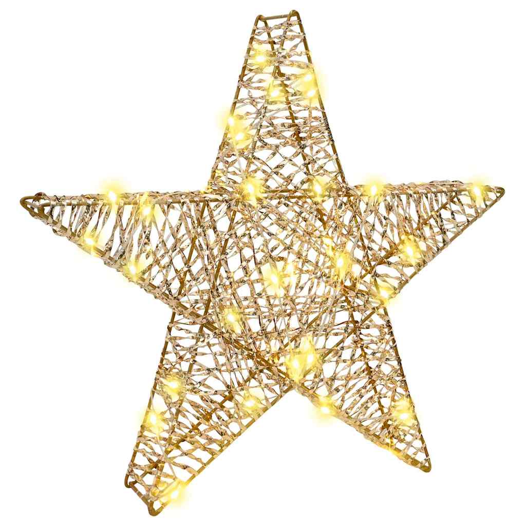 vidaXL 3D Star 50 LEDs Warm white 55 x 52.5 x 9 cm PET 2