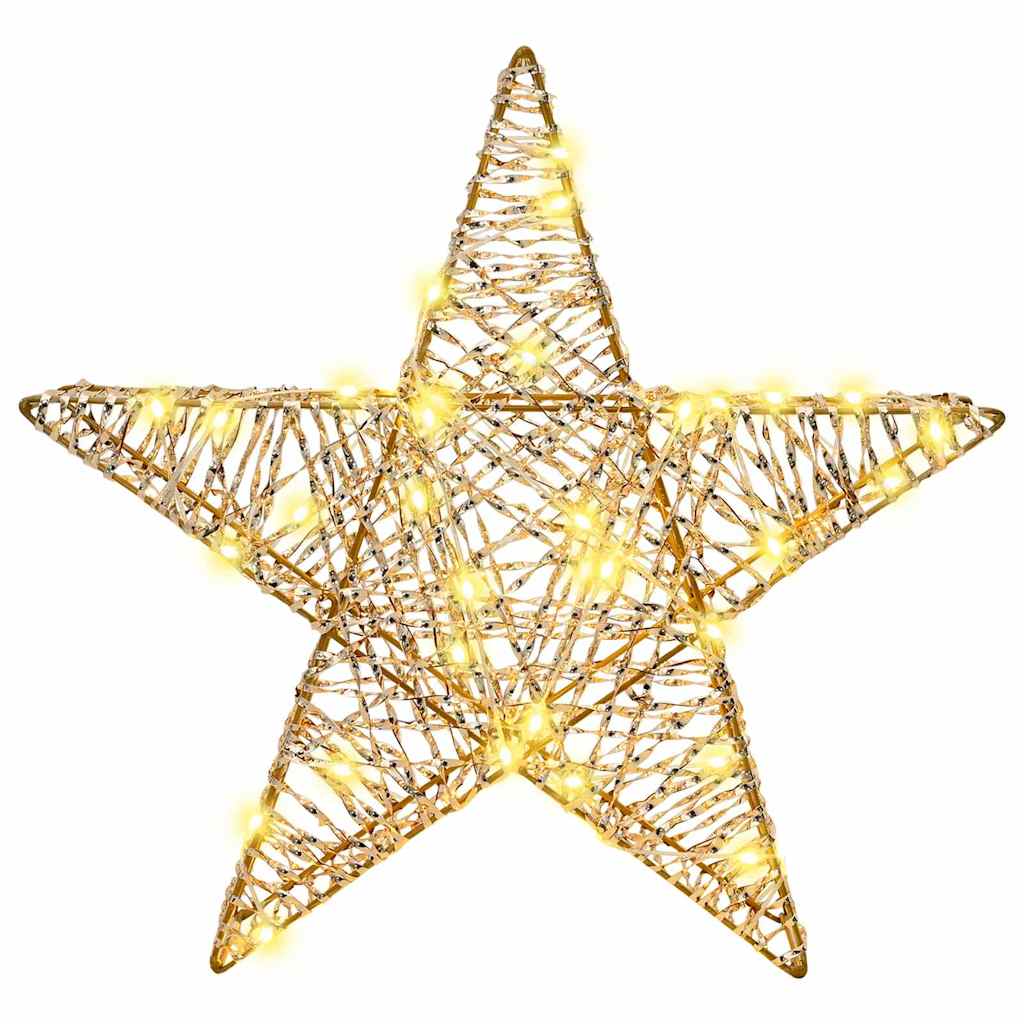 vidaXL 3D Star 50 LEDs Warm white 55 x 52.5 x 9 cm PET 5