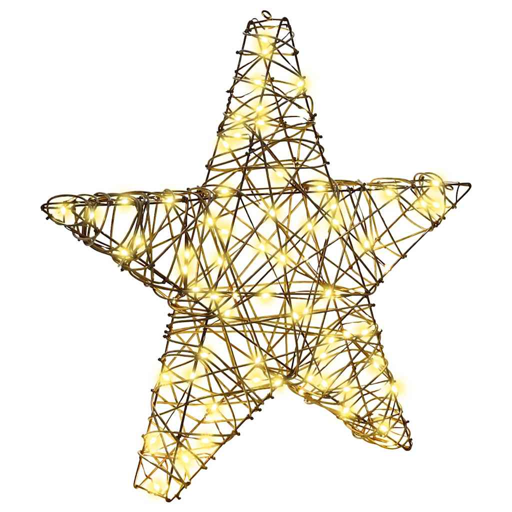 vidaXL 3D Star 50 LEDs Warm white 55 x 52.5 x 9 cm Rattan 2