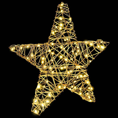 vidaXL 3D Star 50 LEDs Warm white 55 x 52.5 x 9 cm Rattan 4