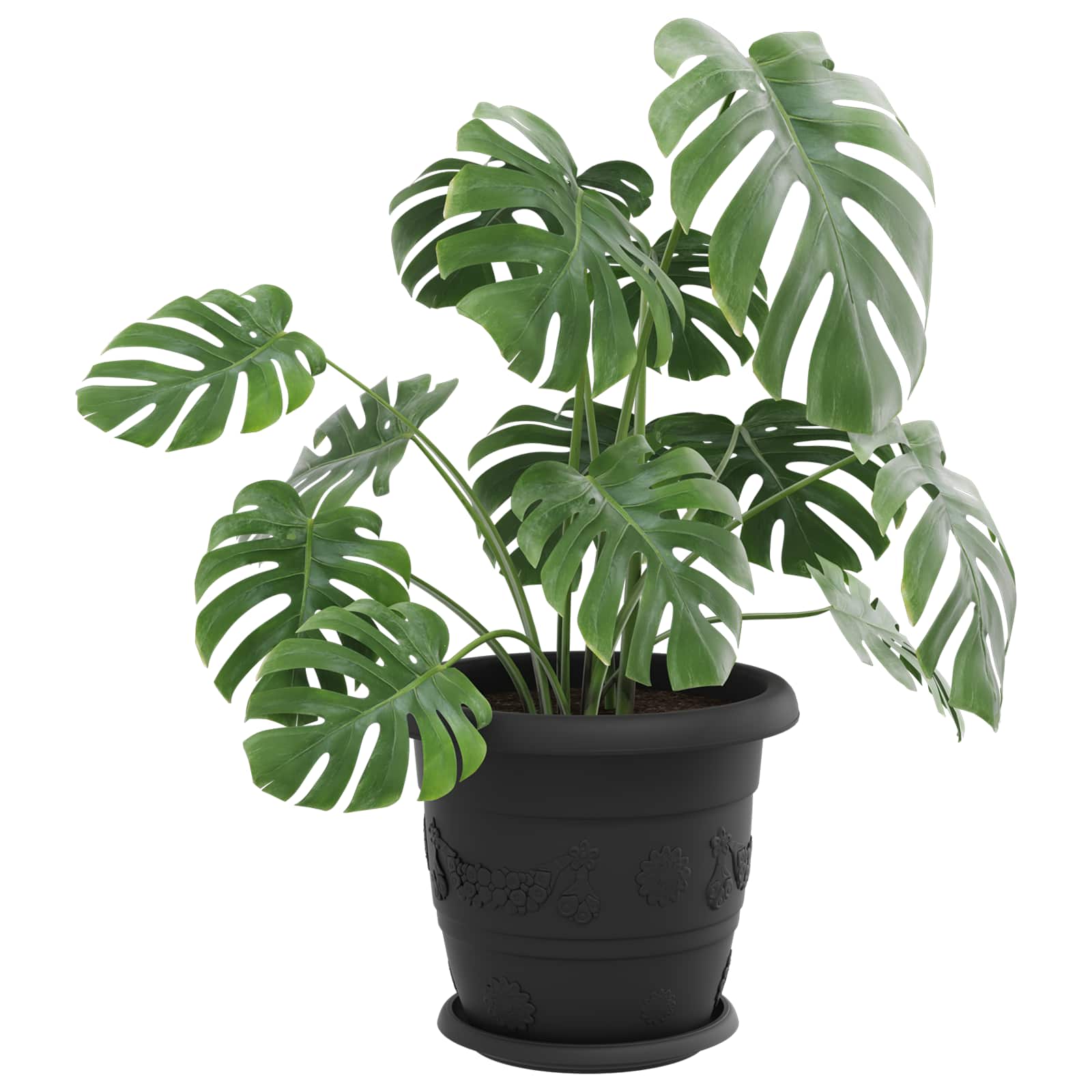vidaXL Plant Pots 24 pcs Black Ø 30 x 25 cm Plastic 3