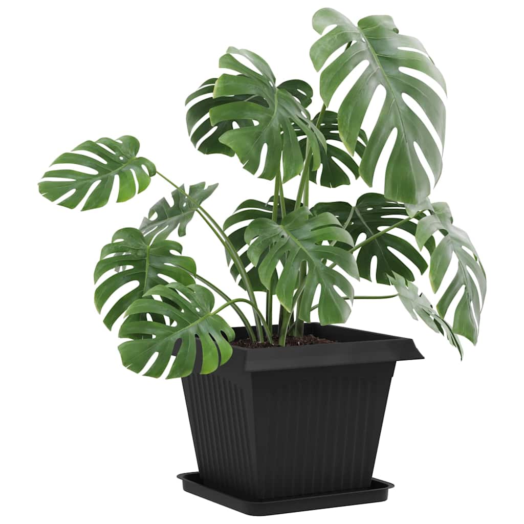 vidaXL Plant Pots 6 pcs Black Plastic 3
