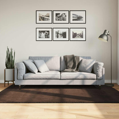 vidaXL Rug HUARTE 100% Polyester Flat Brown