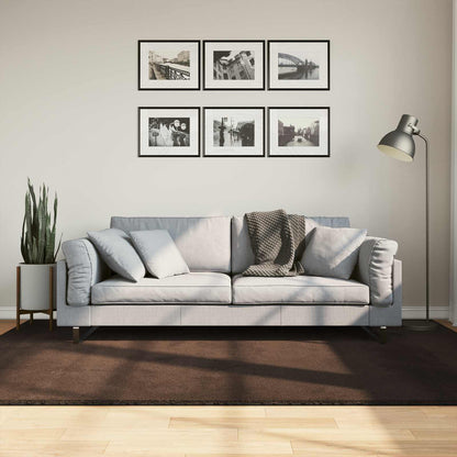 vidaXL Rug HUARTE 100% Polyester Flat Brown