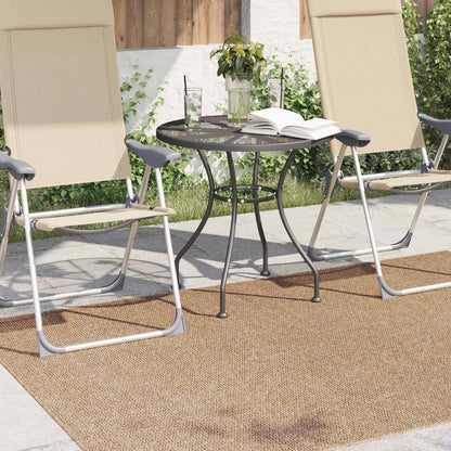 vidaXL Indoor and Outdoor Rug AGIRA Natural 170 x 120 cm Polyester 3