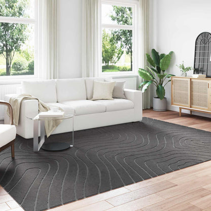vidaXL Indoor and Outdoor Rug PALMERAS Waveform Anthracite