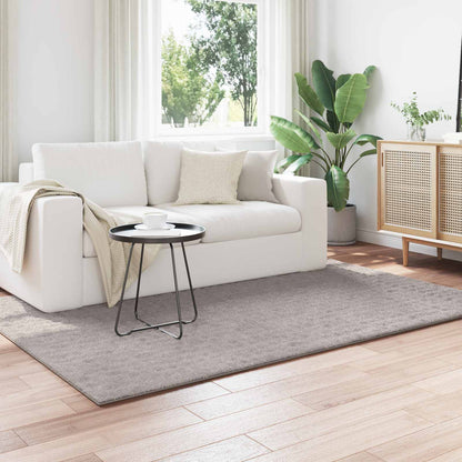 vidaXL Area Rugs Rectangular SIROLO Sand 170 x 120 cm Polyester 1