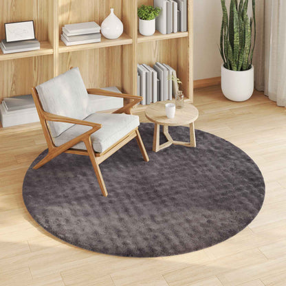vidaXL Area Rugs Round SIROLO Anthracite Ø 160 CM Polyester 3