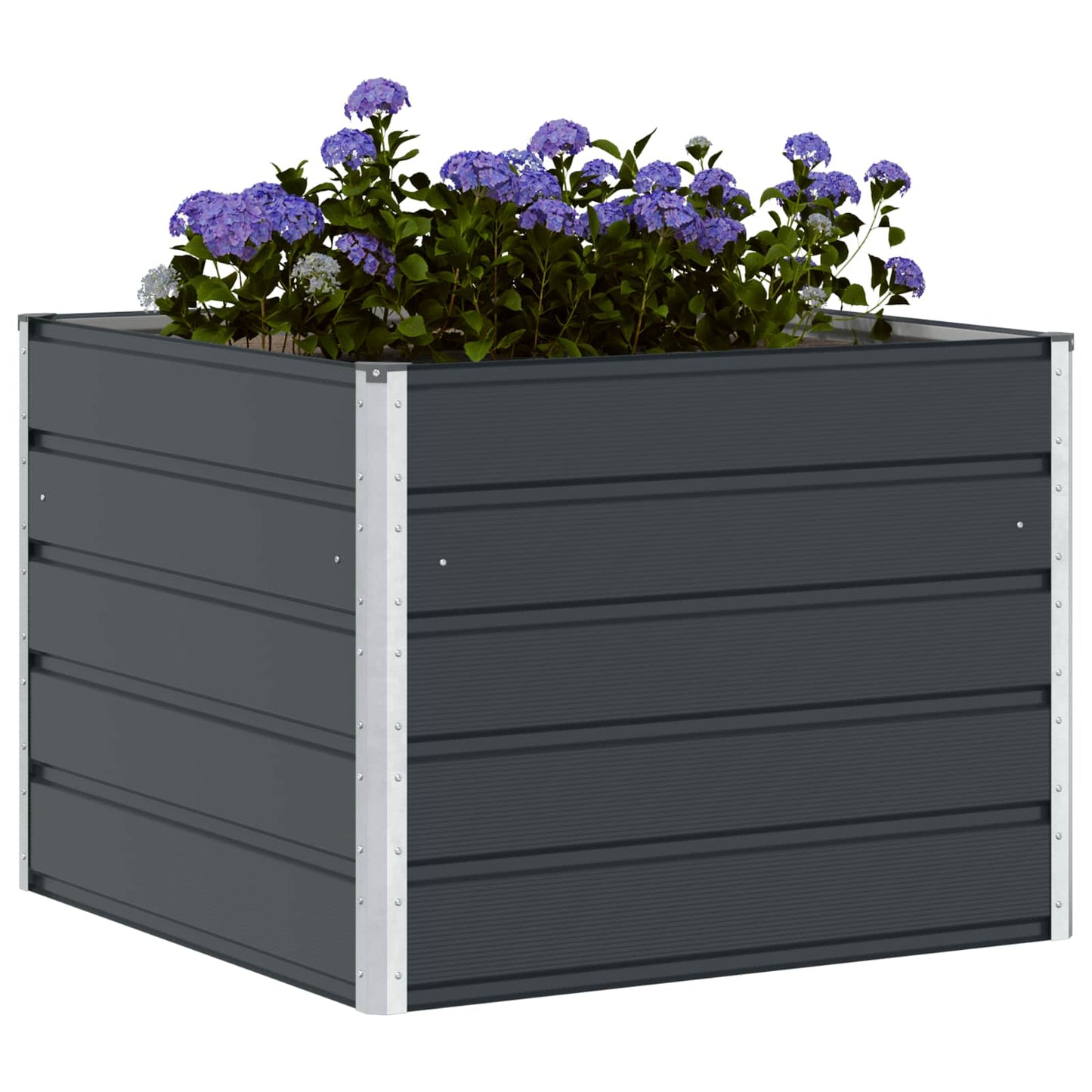 vidaXL Planter Anthracite 100 x 100 x 75 cm Steel 3