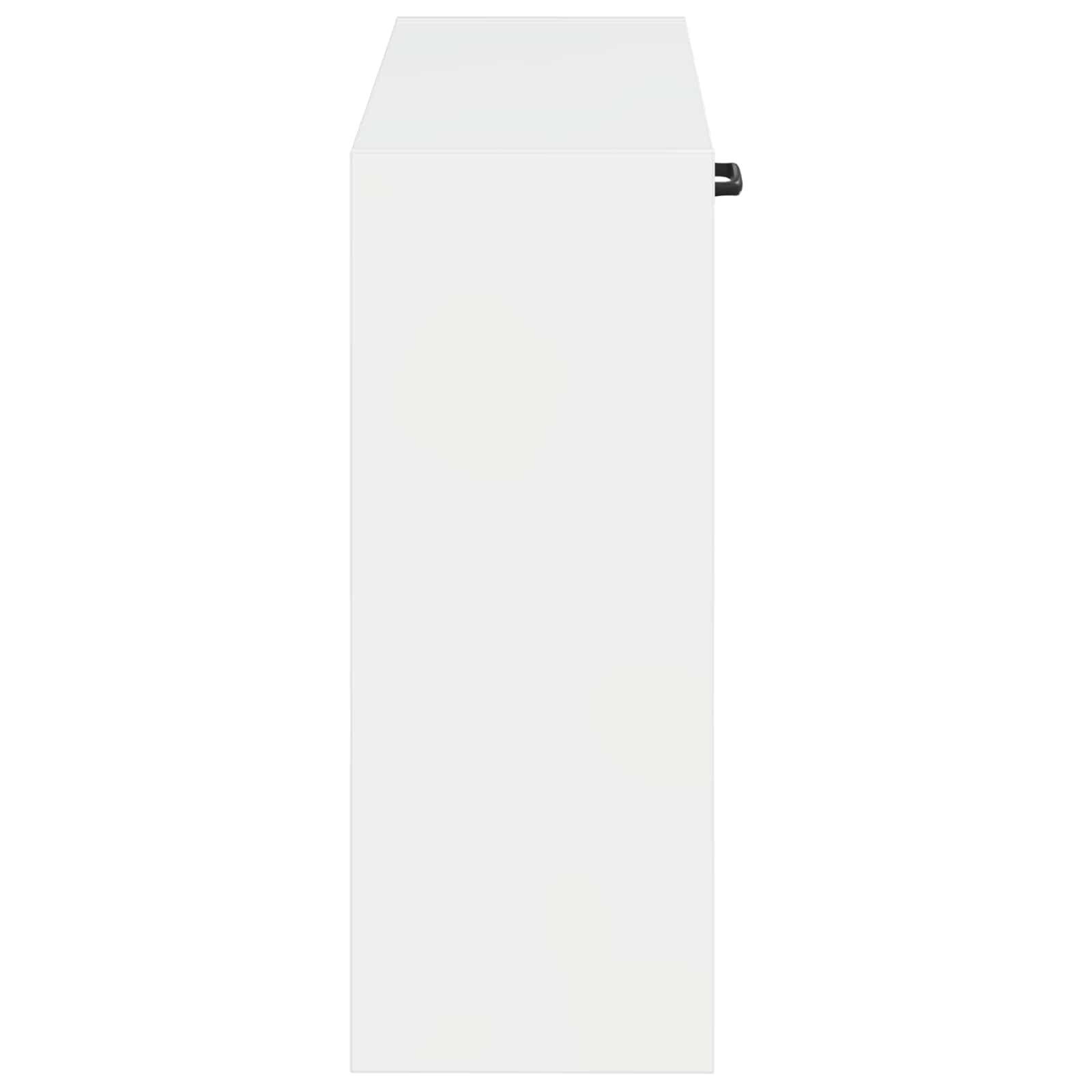 vidaXL Wall-Mounted Shoe Cabinet HAARLEM 71 x 17 x 43 cm 5