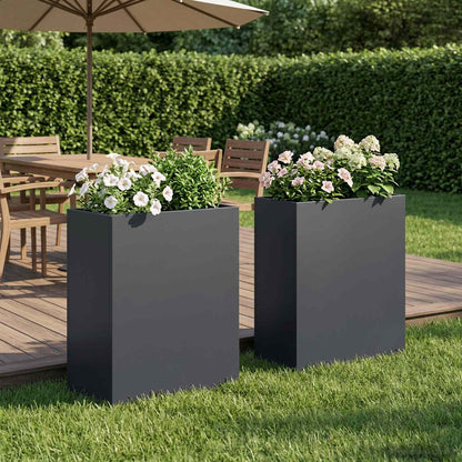 vidaXL Garden Planter 2 pcs Anthracite 40 x 20 x 50 cm 1