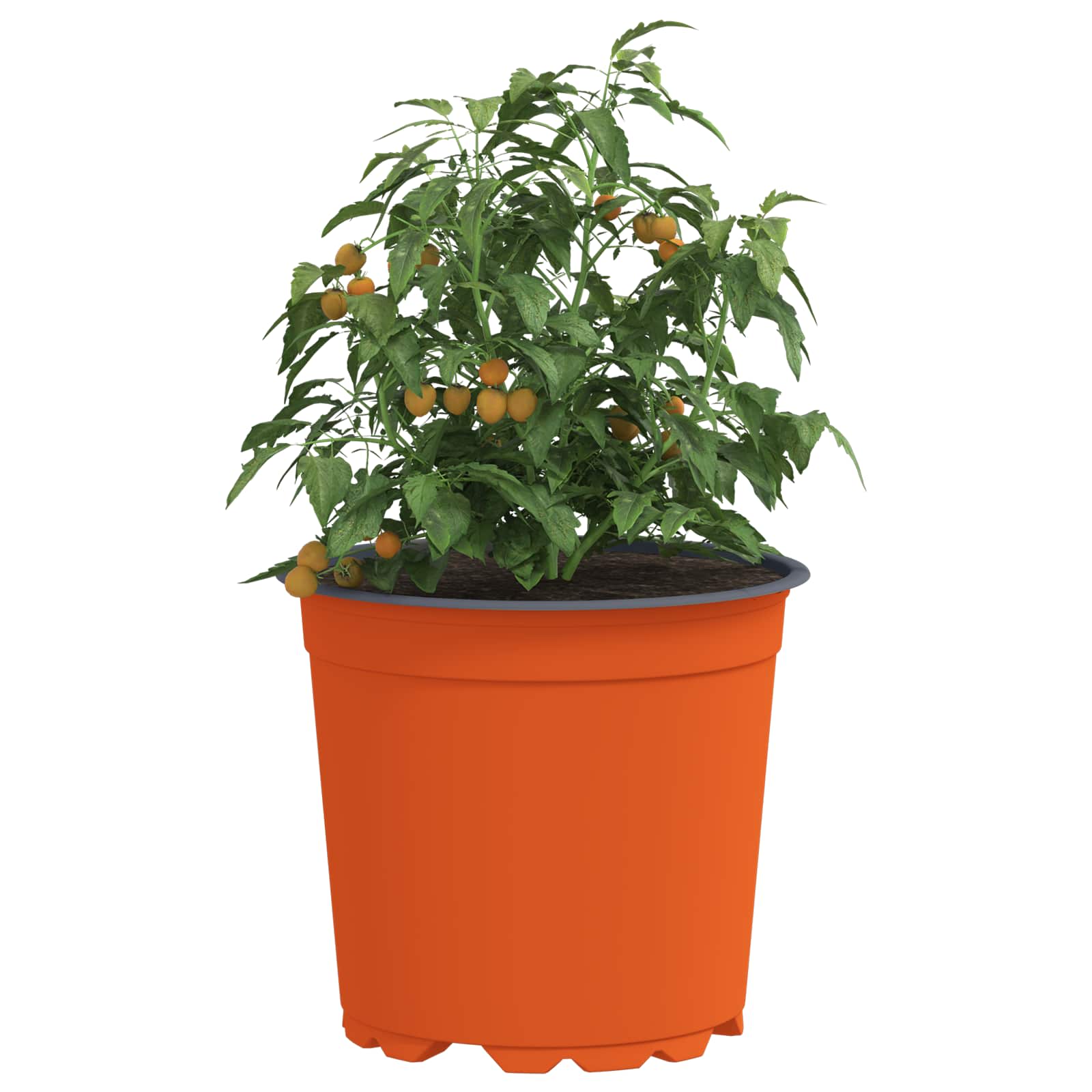 vidaXL Round Flower Pot 200 pcs Terracotta Ø 15 x 13 cm Plastic 3