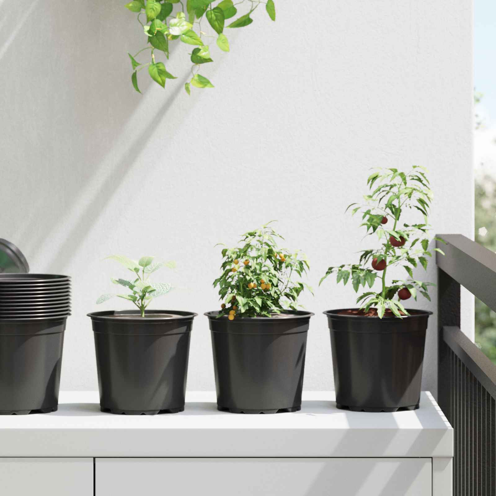 vidaXL Round Flower Pot 200 pcs Black Ø 15 x 13 cm Plastic 1